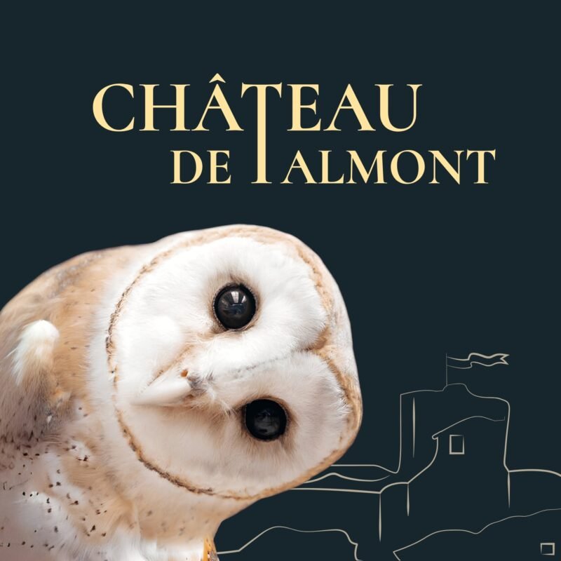 Affiche Chateau Talmont saison estivale